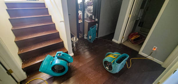 Best Water damage restoration mold remediation  in Telford, TN