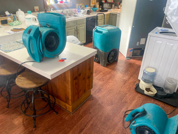 Best Emergency water damage restoration  in Telford, TN