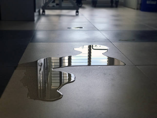 Best Water damage restoration near me  in Telford, TN