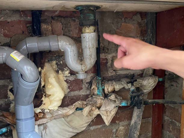 Best Professional water damage repair  in Telford, TN