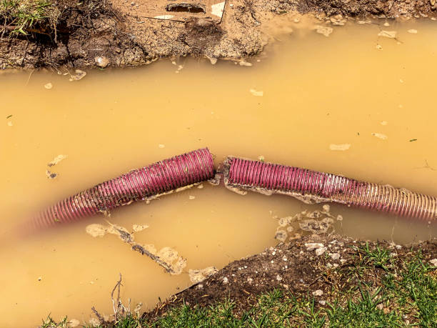 Water damage restoration mold remediation in Telford, TN